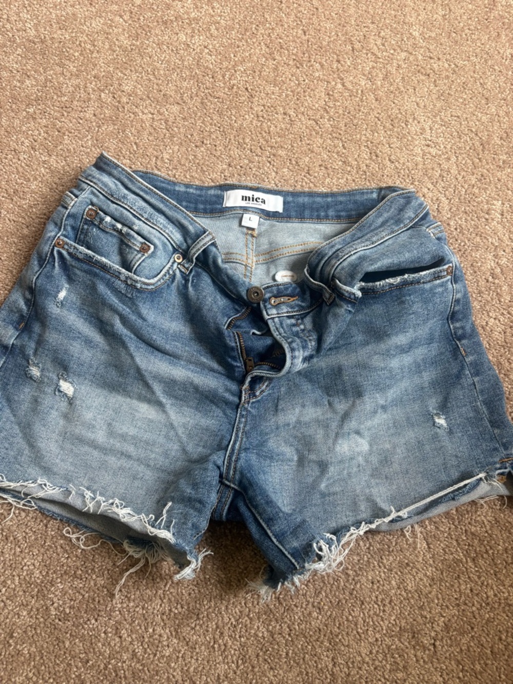 Mica Frayed Hem Denim Shorts in Medium Blue